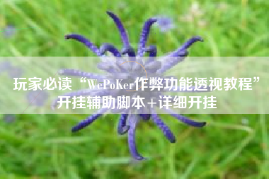 玩家必读“WePoKer作弊功能透视教程”开挂辅助脚本+详细开挂