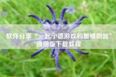 软件分享“一起宁德游戏钓蟹辅助器”通用版下载教程