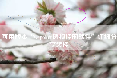 可用版本“wepoker透视挂的软件	”详细分享装挂