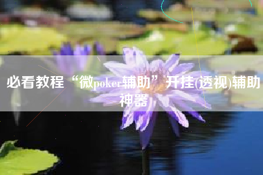 必看教程“微poker辅助”开挂(透视)辅助神器