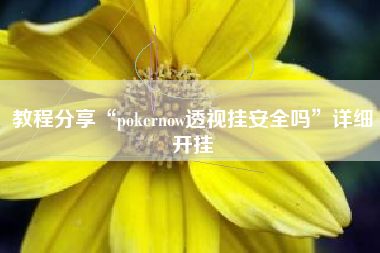 教程分享“pokernow透视挂安全吗”详细开挂