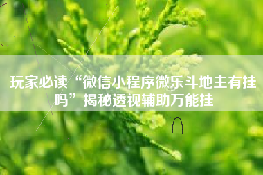 玩家必读“微信小程序微乐斗地主有挂吗”揭秘透视辅助万能挂