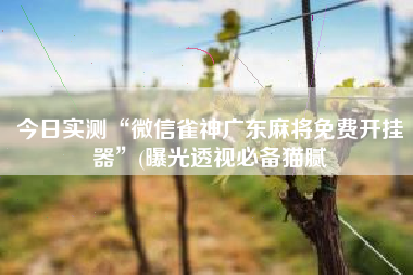 今日实测“微信雀神广东麻将免费开挂器	”(曝光透视必备猫腻