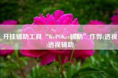 开挂辅助工具“WePOKer辅助”作弊(透视)透视辅助