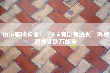 玩家辅助神器：“Wpk有没有透视”揭秘透视辅助万能挂