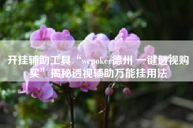 开挂辅助工具“wepoker德州 一键透视购买”揭秘透视辅助万能挂用法