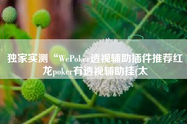 独家实测“WePoker透视辅助插件推荐红龙poker有透视辅助挂(太