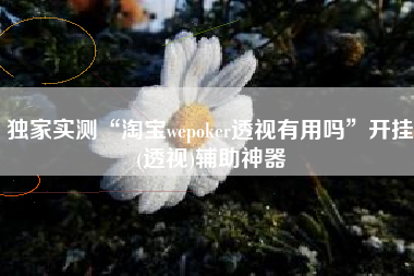 独家实测“淘宝wepoker透视有用吗”开挂(透视)辅助神器