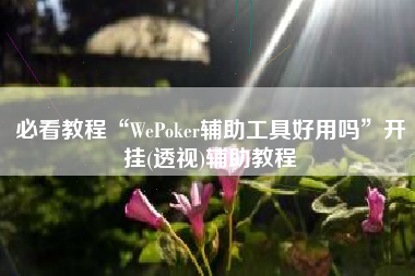 必看教程“WePoker辅助工具好用吗”开挂(透视)辅助教程