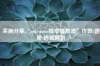 实测分享“pokemmo脚本辅助器”作弊(透视)透视辅助