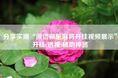 分享实测“微信微乐麻将开挂视频展示”开挂(透视)辅助神器