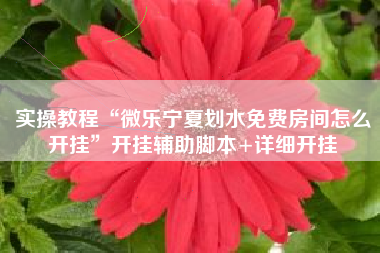 实操教程“微乐宁夏划水免费房间怎么开挂”开挂辅助脚本+详细开挂