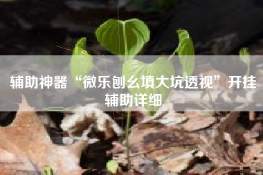 辅助神器“微乐刨幺填大坑透视”开挂辅助详细