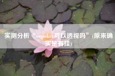 实测分析“wepoker可以透视吗”(原来确实是有挂)