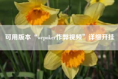 可用版本“wepoker作弊视频	”详细开挂