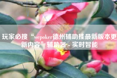 玩家必搜“wepoker德州辅助挂最新版本更新内容”辅助器 - 实时智能
