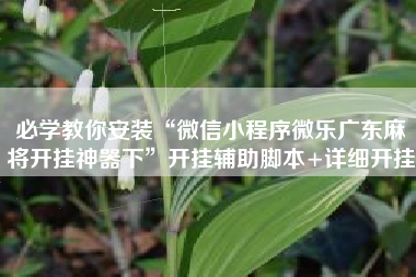 必学教你安装“微信小程序微乐广东麻将开挂神器下”开挂辅助脚本+详细开挂