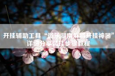 开挂辅助工具“微乐湖南麻将开挂神器	”详细分享装挂步骤教程