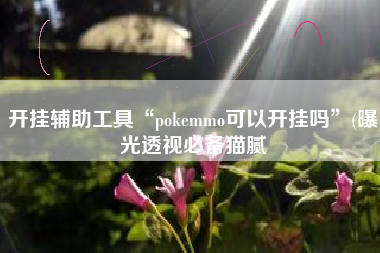 开挂辅助工具“pokemmo可以开挂吗	”(曝光透视必备猫腻