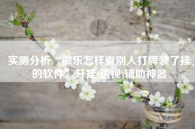 实测分析“微乐怎样查别人打牌装了挂的软件	”开挂(透视)辅助神器