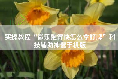 实操教程“微乐跑得快怎么拿好牌	”科技辅助神器手机版