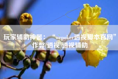 玩家辅助神器：“wepoker透视脚本官网”作弊(透视)透视辅助