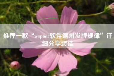 推荐一款“wepoer软件德州发牌规律”详细分享装挂