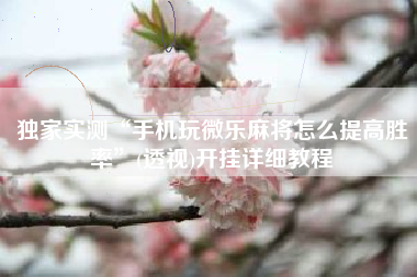 独家实测“手机玩微乐麻将怎么提高胜率	”(透视)开挂详细教程