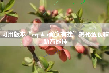 可用版本“wepoker确实有挂”揭秘透视辅助万能挂