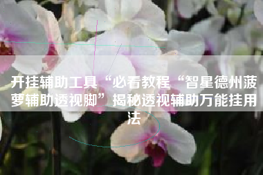 开挂辅助工具“必看教程“智星德州菠萝辅助透视脚	”揭秘透视辅助万能挂用法