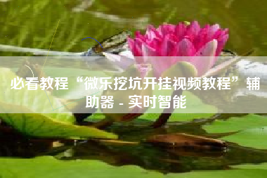 必看教程“微乐挖坑开挂视频教程	”辅助器 - 实时智能