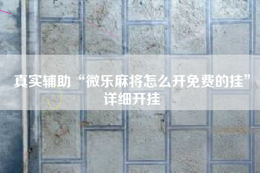 真实辅助“微乐麻将怎么开免费的挂	”详细开挂