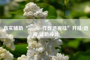 真实辅助“wepoker作弊透视挂	”开挂(透视)辅助神器
