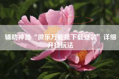 辅助神器“微乐万能挂下载安装”详细开挂玩法