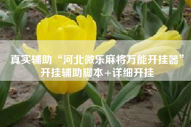 真实辅助“河北微乐麻将万能开挂器”开挂辅助脚本+详细开挂