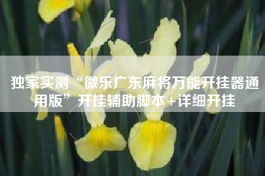 独家实测“微乐广东麻将万能开挂器通用版”开挂辅助脚本+详细开挂