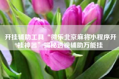 开挂辅助工具“微乐北京麻将小程序开挂神器”揭秘透视辅助万能挂