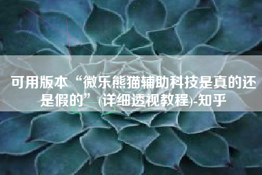 可用版本“微乐熊猫辅助科技是真的还是假的”(详细透视教程)-知乎