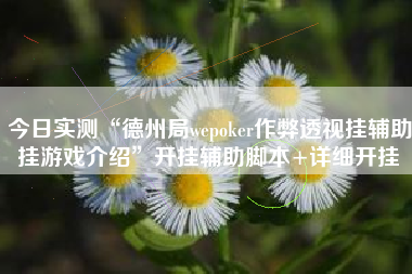 今日实测“德州局wepoker作弊透视挂辅助挂游戏介绍	”开挂辅助脚本+详细开挂