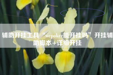 辅助开挂工具“wepoker能开挂吗”开挂辅助脚本+详细开挂