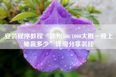 安装程序教程“德州500/1000大概一晚上输赢多少”详细分享装挂