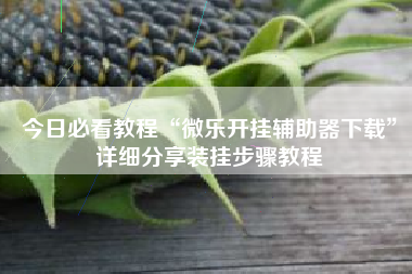 今日必看教程“微乐开挂辅助器下载	”详细分享装挂步骤教程