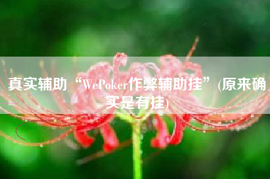 真实辅助“WePoker作弊辅助挂”(原来确实是有挂)