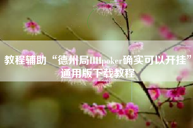 教程辅助“德州局HHpoker确实可以开挂”通用版下载教程