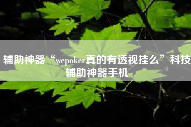 辅助神器“wepoker真的有透视挂么”科技辅助神器手机