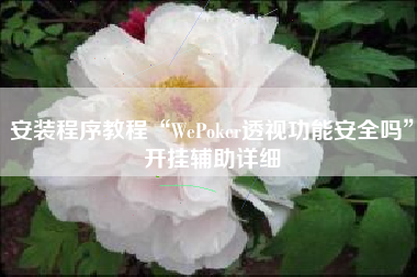 安装程序教程“WePoker透视功能安全吗”开挂辅助详细