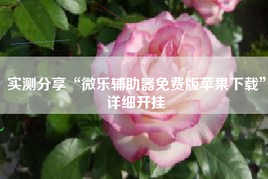 实测分享“微乐辅助器免费版苹果下载”详细开挂