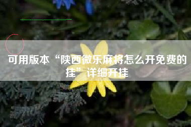 可用版本“陕西微乐麻将怎么开免费的挂”详细开挂