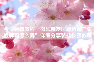 今日必看教程“微乐亲友房能透视三张底牌吗怎么弄”详细分享装挂步骤教程