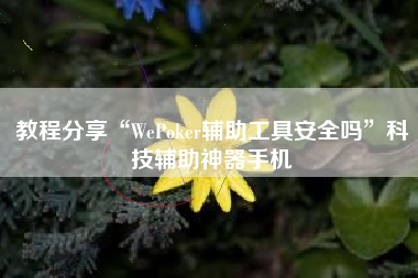 教程分享“WePoker辅助工具安全吗”科技辅助神器手机